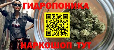 apvp Кимры
